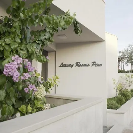 Pino Luxury And Pensjonat 4*
