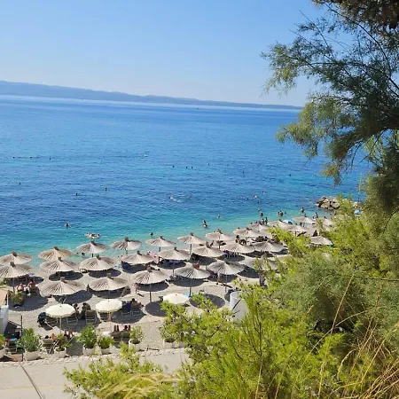 Pino Luxury And Gostinjska kuća 4*