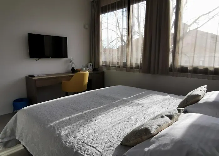 Pino Luxury And Split