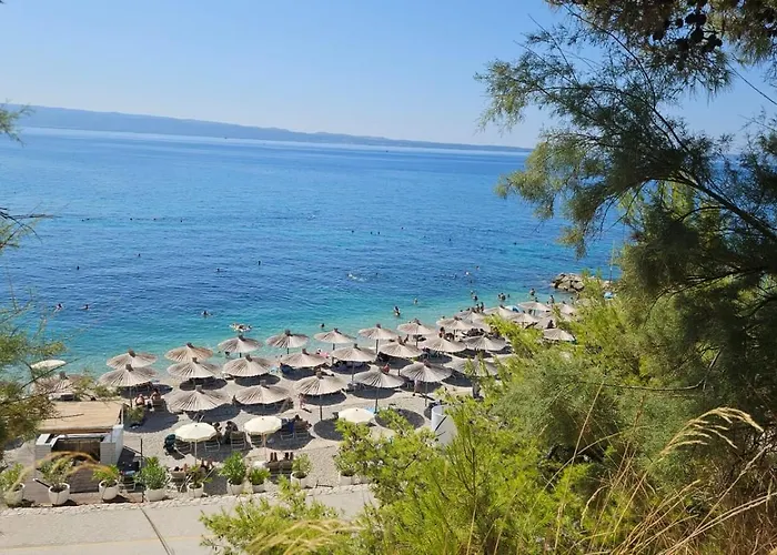 Pino Luxury And Gasthuis 4*