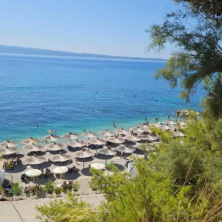 Pino Luxury And Guest house 4*